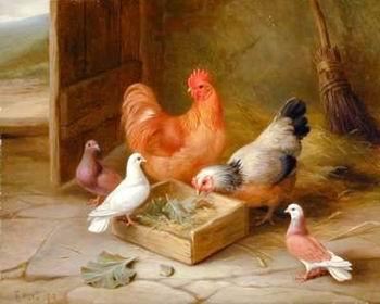 unknow artist Poultry 093 oil painting image